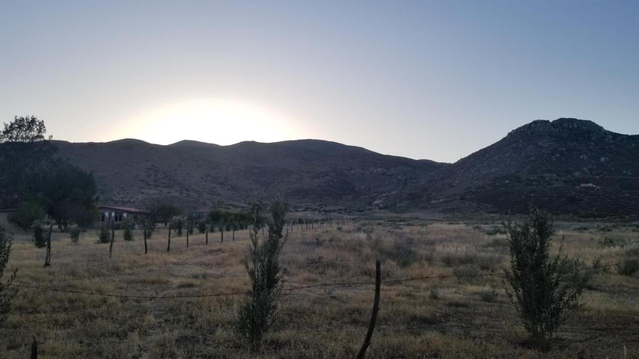 Cabanas Los Laureles Ruta Del Vino Bc Ensenada Exteriör bild